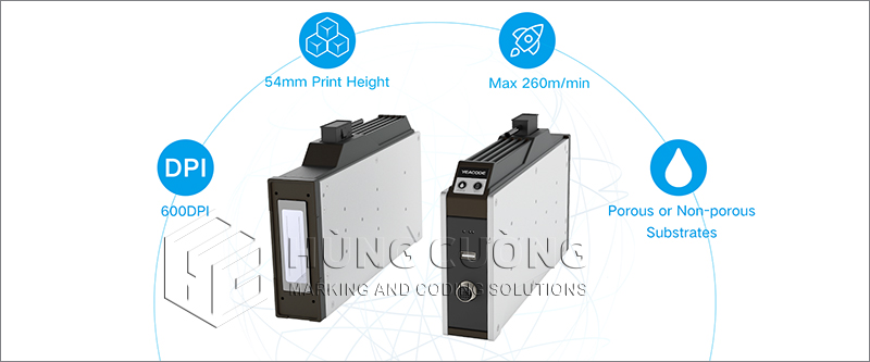 11. Dau-in-phun-piezo-8d