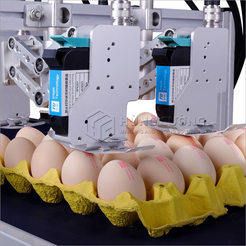 8. May-in-phun-ma-ky-hieu-in-date-len-trung-6-dau-in